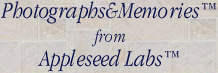 P&M Text Banner